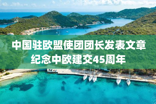 中國(guó)駐歐盟使團(tuán)團(tuán)長(zhǎng)發(fā)表文章紀(jì)念中歐建交45周年
