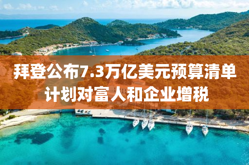 拜登公布7.3萬(wàn)億美元預(yù)算清單 計(jì)劃對(duì)富人和企業(yè)增稅