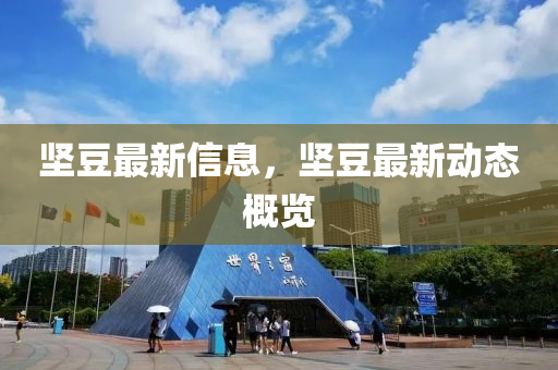 堅(jiān)豆最新信息，堅(jiān)豆最新動(dòng)態(tài)概覽