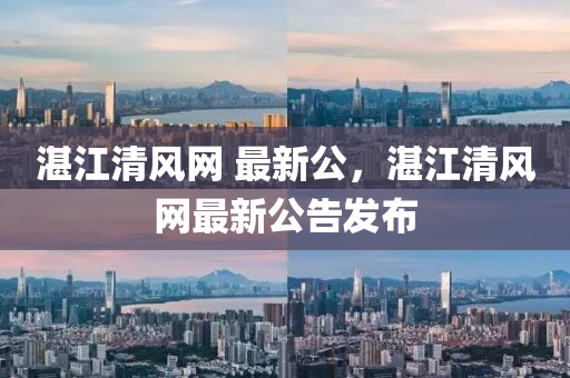 湛江清風(fēng)網(wǎng) 最新公，湛江清風(fēng)網(wǎng)最新公告發(fā)布