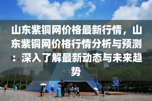 山東紫銅網(wǎng)價格最新行情，山東紫銅網(wǎng)價格行情分析與預(yù)測：深入了解最新動態(tài)與未來趨勢