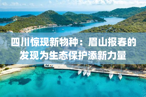 四川驚現(xiàn)新物種：眉山報(bào)春的發(fā)現(xiàn)為生態(tài)保護(hù)添新力量