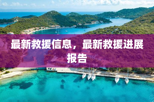 最新救援信息，最新救援進(jìn)展報告