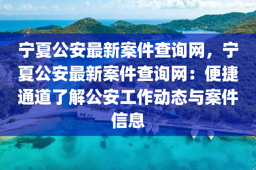 寧夏公安最新案件查詢網(wǎng)，寧夏公安最新案件查詢網(wǎng)：便捷通道了解公安工作動態(tài)與案件信息