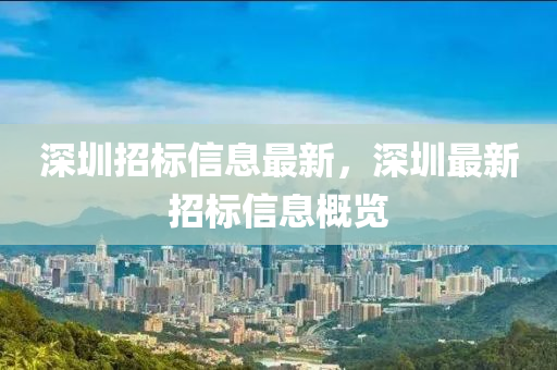 深圳招標信息最新，深圳最新招標信息概覽
