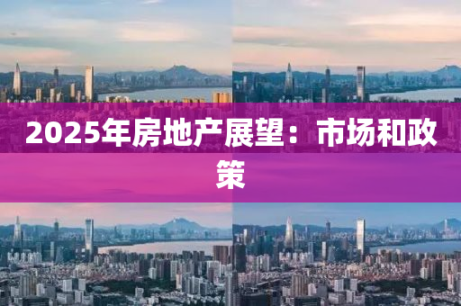 2025年房地產(chǎn)展望：市場(chǎng)和政策