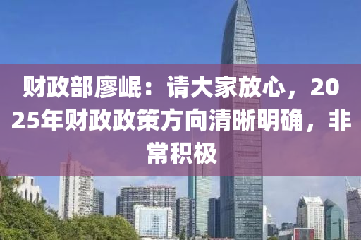 財政部廖岷：請大家放心，2025年財政政策方向清晰明確，非常積極