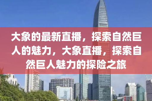 大象的最新直播，探索自然巨人的魅力，大象直播，探索自然巨人魅力的探險之旅