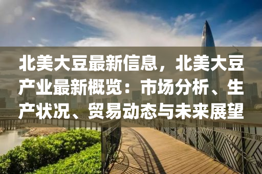 北美大豆最新信息，北美大豆產(chǎn)業(yè)最新概覽：市場(chǎng)分析、生產(chǎn)狀況、貿(mào)易動(dòng)態(tài)與未來(lái)展望