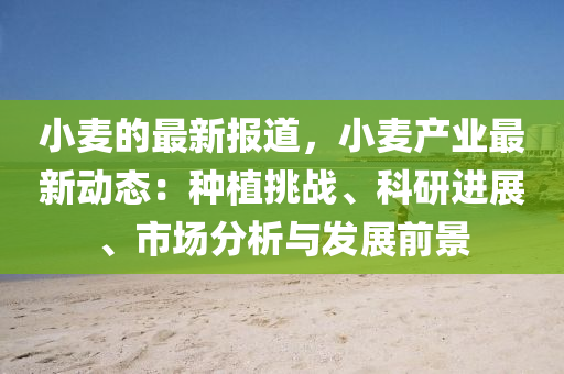小麥的最新報道，小麥產(chǎn)業(yè)最新動態(tài)：種植挑戰(zhàn)、科研進(jìn)展、市場分析與發(fā)展前景