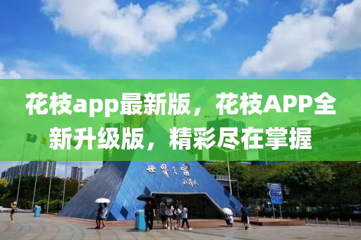 花枝app最新版，花枝APP全新升級版，精彩盡在掌握