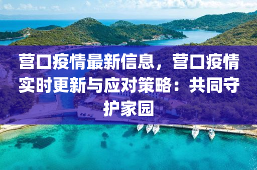 營(yíng)口疫情最新信息，營(yíng)口疫情實(shí)時(shí)更新與應(yīng)對(duì)策略：共同守護(hù)家園