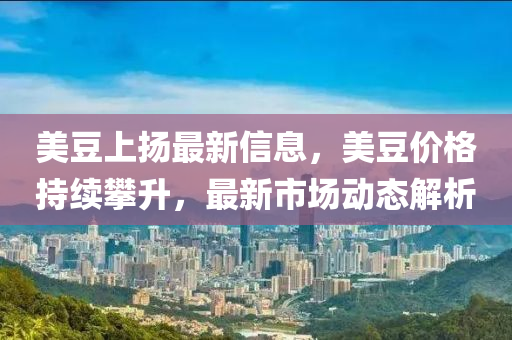 美豆上揚最新信息，美豆價格持續(xù)攀升，最新市場動態(tài)解析