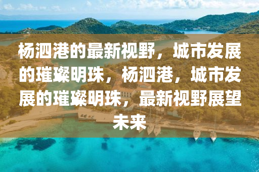 楊泗港的最新視野，城市發(fā)展的璀璨明珠，楊泗港，城市發(fā)展的璀璨明珠，最新視野展望未來(lái)