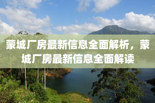 蒙城廠房最新信息全面解析，蒙城廠房最新信息全面解讀