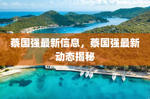 蔡國強最新信息，蔡國強最新動態(tài)揭秘