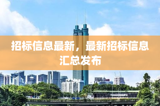 招標(biāo)信息最新，最新招標(biāo)信息匯總發(fā)布
