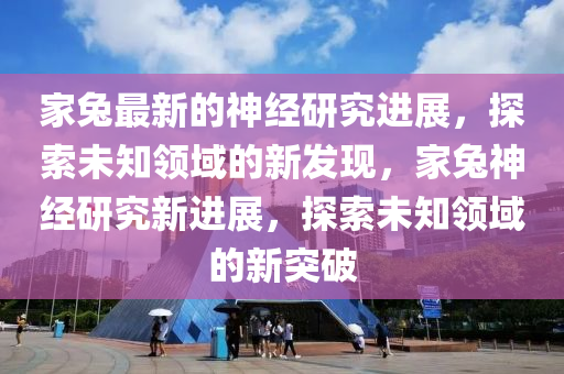 家兔最新的神經(jīng)研究進(jìn)展，探索未知領(lǐng)域的新發(fā)現(xiàn)，家兔神經(jīng)研究新進(jìn)展，探索未知領(lǐng)域的新突破