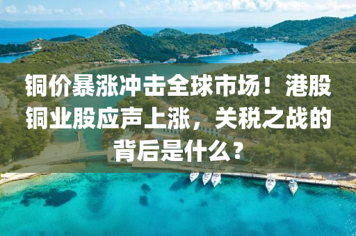 全身體檢 第29頁