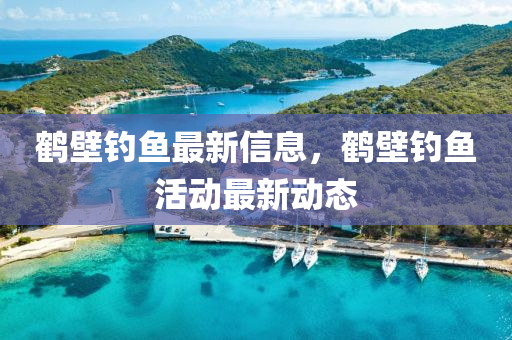 鶴壁釣魚最新信息，鶴壁釣魚活動最新動態(tài)