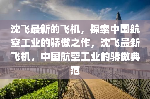 沈飛最新的飛機(jī)，探索中國(guó)航空工業(yè)的驕傲之作，沈飛最新飛機(jī)，中國(guó)航空工業(yè)的驕傲典范