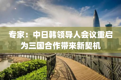 專家：中日韓領(lǐng)導(dǎo)人會(huì)議重啟為三國合作帶來新契機(jī)