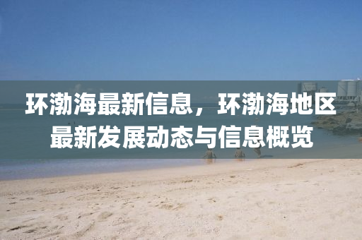 環(huán)渤海最新信息，環(huán)渤海地區(qū)最新發(fā)展動態(tài)與信息概覽