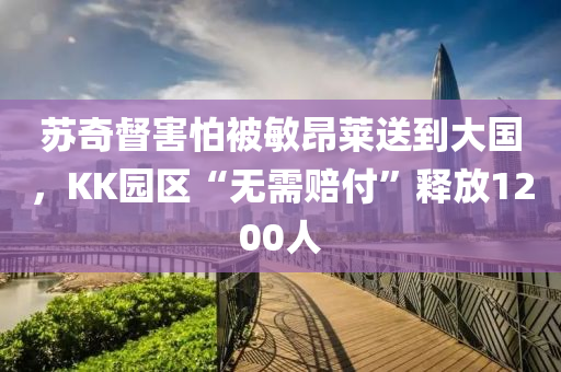 蘇奇督害怕被敏昂萊送到大國，KK園區(qū)“無需賠付”釋放1200人