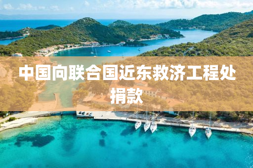 中國向聯(lián)合國近東救濟(jì)工程處捐款