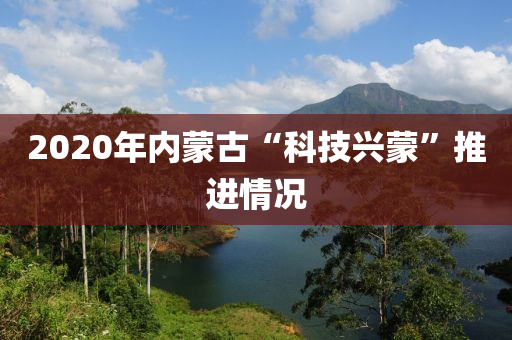 2020年內(nèi)蒙古“科技興蒙”推進(jìn)情況