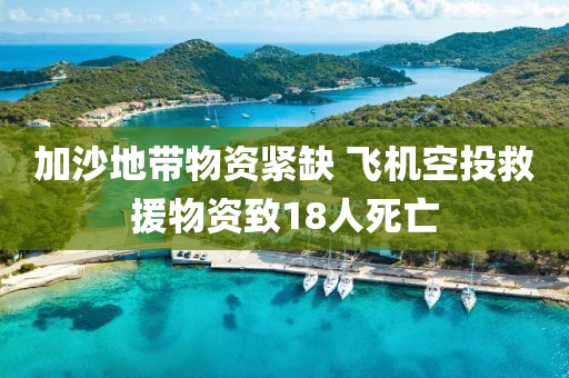 加沙地帶物資緊缺 飛機空投救援物資致18人死亡