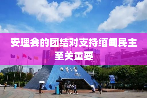 安理會的團(tuán)結(jié)對支持緬甸民主至關(guān)重要