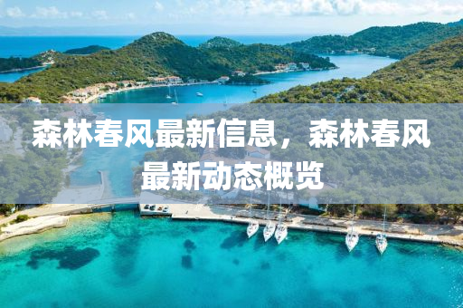 森林春風(fēng)最新信息，森林春風(fēng)最新動(dòng)態(tài)概覽