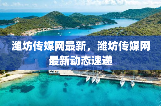 濰坊傳媒網(wǎng)最新，濰坊傳媒網(wǎng)最新動態(tài)速遞