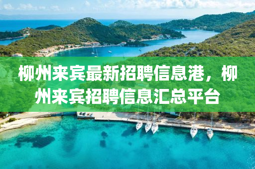 柳州來賓最新招聘信息港，柳州來賓招聘信息匯總平臺