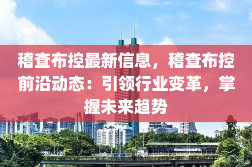 稽查布控最新信息，稽查布控前沿動(dòng)態(tài)：引領(lǐng)行業(yè)變革，掌握未來趨勢