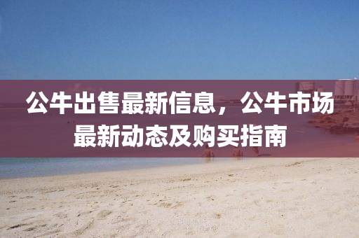 公牛出售最新信息，公牛市場最新動態(tài)及購買指南