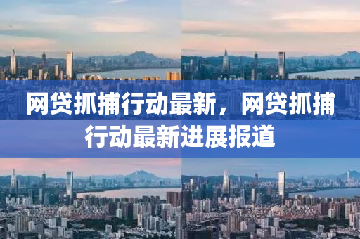 網(wǎng)貸抓捕行動(dòng)最新，網(wǎng)貸抓捕行動(dòng)最新進(jìn)展報(bào)道