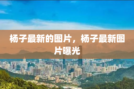 楊子最新的圖片，楊子最新圖片曝光