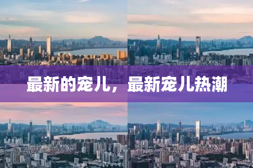 最新的寵兒，最新寵兒熱潮