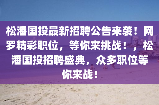 松潘國(guó)投最新招聘公告來(lái)襲！網(wǎng)羅精彩職位，等你來(lái)挑戰(zhàn)！，松潘國(guó)投招聘盛典，眾多職位等你來(lái)戰(zhàn)！