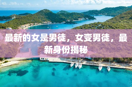 最新的女是男徒，女變男徒，最新身份揭秘
