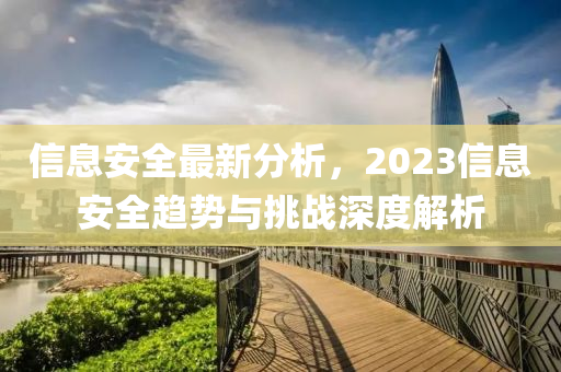信息安全最新分析，2023信息安全趨勢與挑戰(zhàn)深度解析