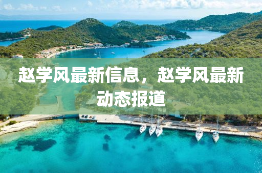 趙學(xué)風(fēng)最新信息，趙學(xué)風(fēng)最新動態(tài)報道