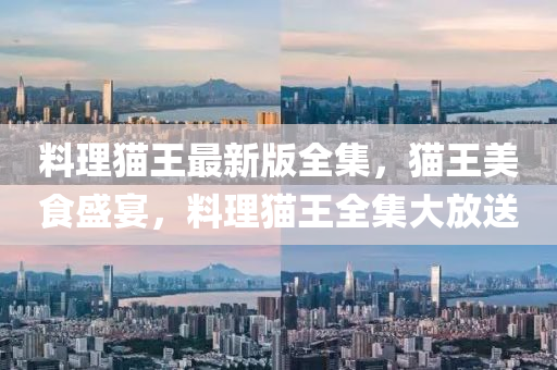 料理貓王最新版全集，貓王美食盛宴，料理貓王全集大放送