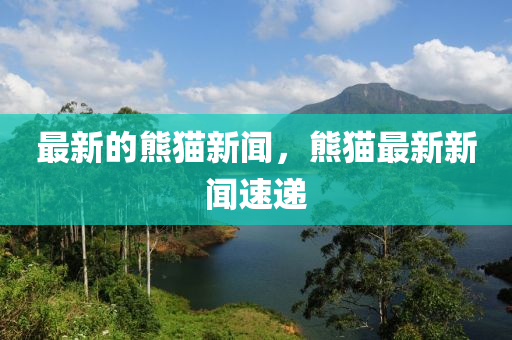 最新的熊貓新聞，熊貓最新新聞速遞
