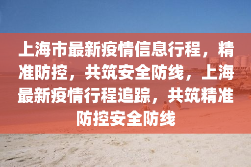 上海市最新疫情信息行程，精準防控，共筑安全防線，上海最新疫情行程追蹤，共筑精準防控安全防線