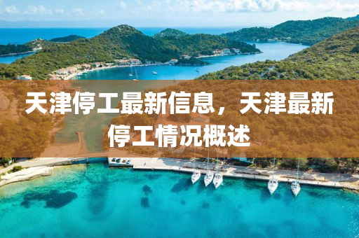 天津停工最新信息，天津最新停工情況概述