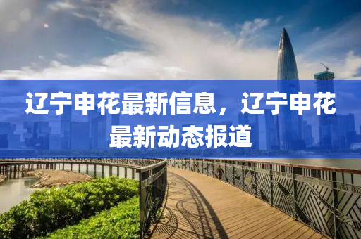 遼寧申花最新信息，遼寧申花最新動態(tài)報(bào)道