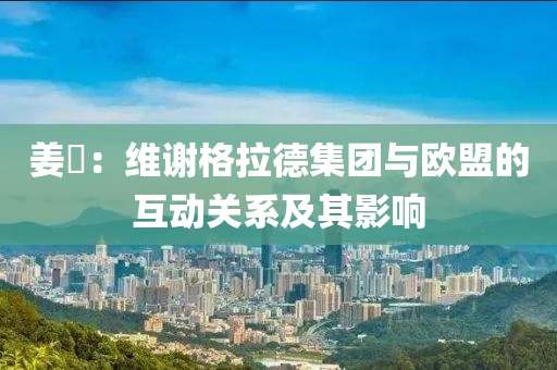 姜琍：維謝格拉德集團與歐盟的互動關(guān)系及其影響